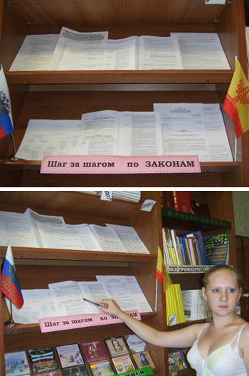 Час правовой информации был посвящен обсуждению проекта Закона Чувашской Республики «О стратегии социально-экономического развития Чувашской Республики до 2020 года»